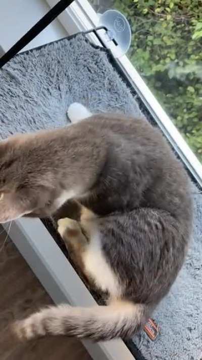 Wait! Where&rsquo;d it go??