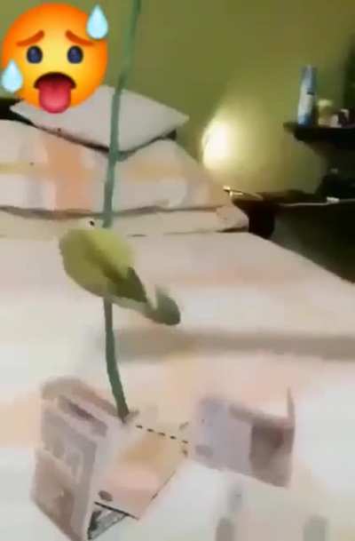 🥵