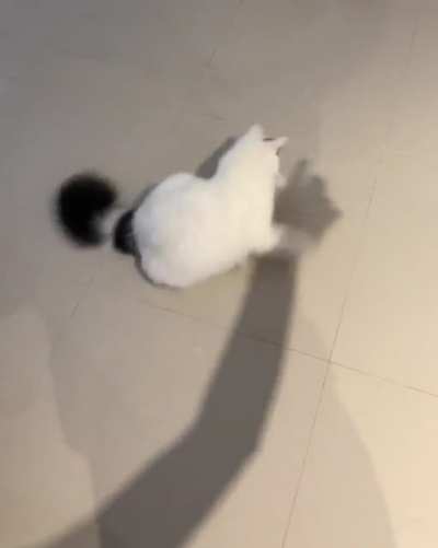 touch tha shadow