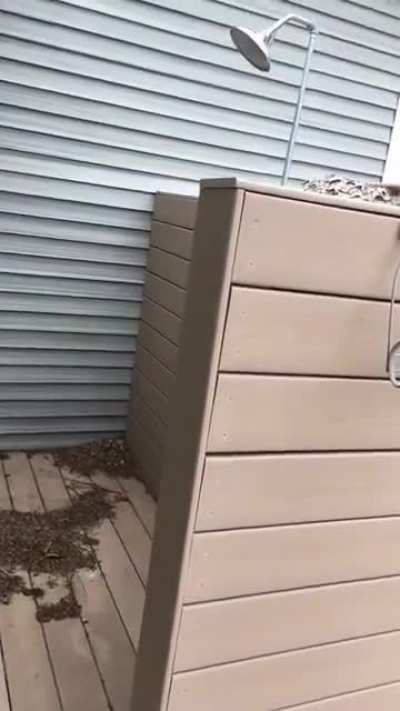 When you want to use the outside shower after a while of not using it