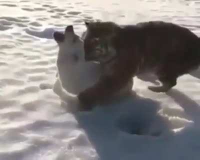 Poor doggy 😔