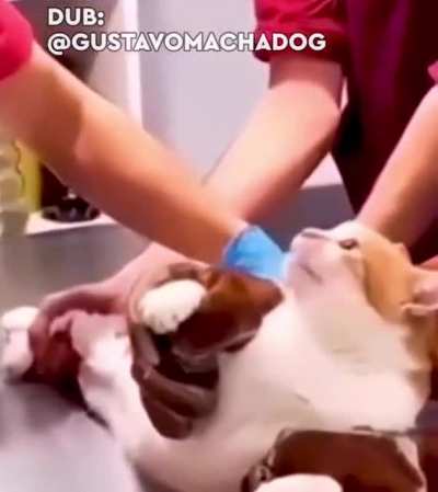 😾🦋🦋