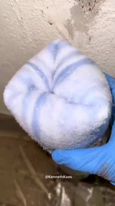 do you know what it is?