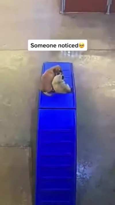 "Fiest day? It's okay buddy i got you, you&rsquo;ll be just fine..&rdquo;