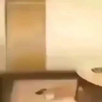 ducc