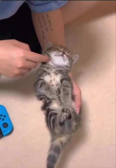 Very cute🥰