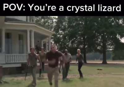 Any small shiny creature really