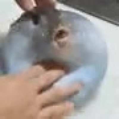 hmmm