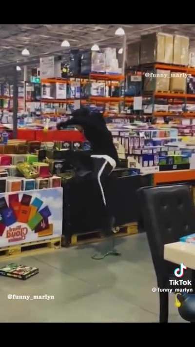 Boo 👻