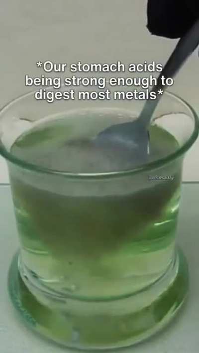 video title