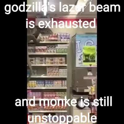 Monke will win!!
