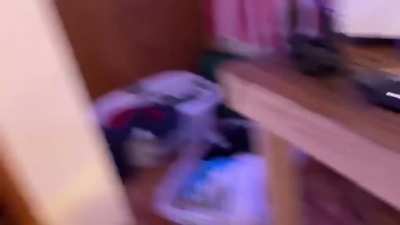Son, NO ANIME!