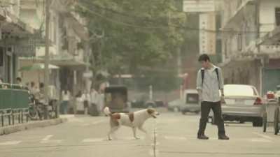 Very Nice Thai Video I watched long ago and rediscovered again