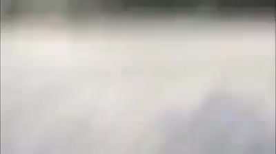 PERRO QLAO VOLANDO CON DRONE XD