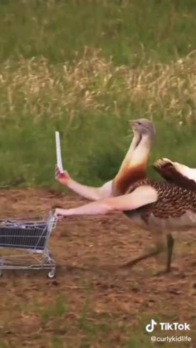 Animated