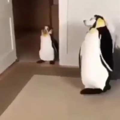 &eth;&eth;&eth;