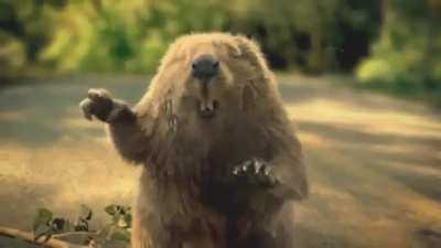 Beaver saved savior