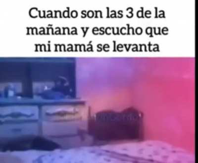A mimir