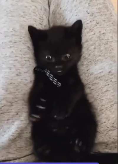 &ldquo;What.. what are these for?&rdquo;
