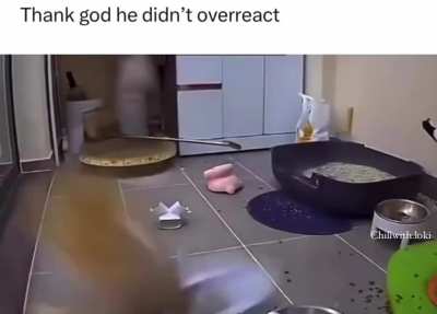 Cats keen reaction. 