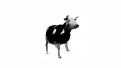 Polish cow (Full versi&oacute;n)