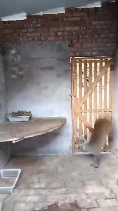 Parkour