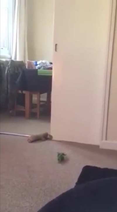 Virtual Fetch