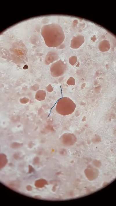 Tips to reduce your exposure to microplastics