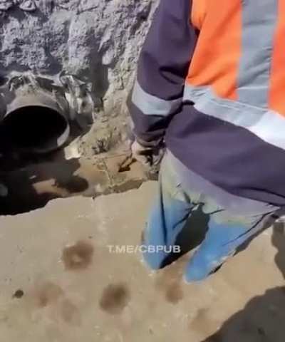 Труба