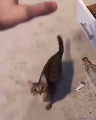 nice jump