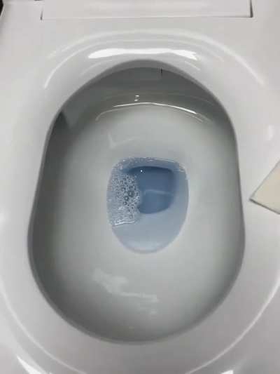 Smart luxury toilet