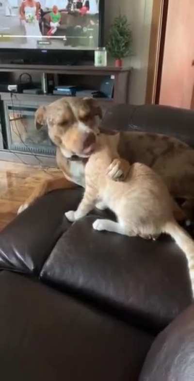 xD
