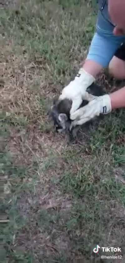 Put him back in!