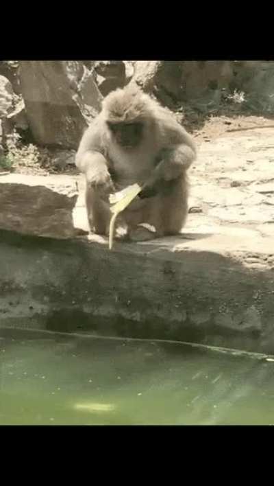 Oh f*** my banana!! its gone !!! Oh, It's really gone!!! Oh nooo...🙈🙈🙈