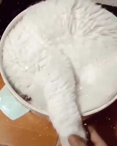 Sour cream or DFV?