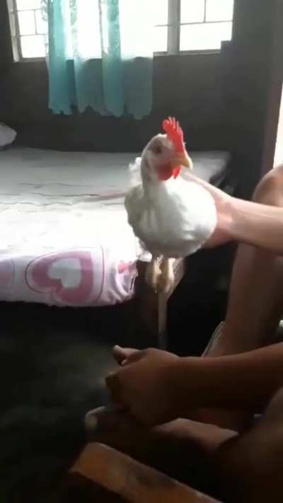 STABILIZATION