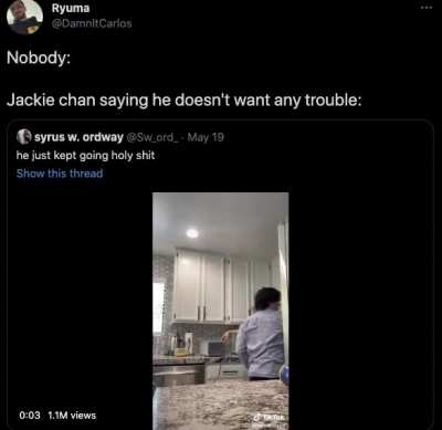 *breaks someone's arm in 4 places and breaks their jaw* Jackie Chan: 