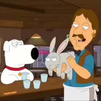 Asian Rabbit