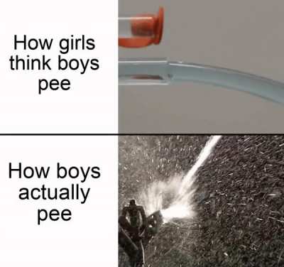 le sprinkler