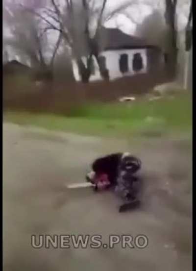 Bonk