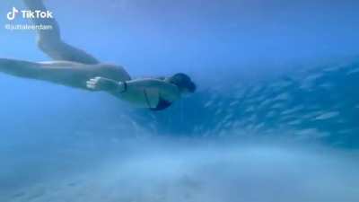 Deep Dive