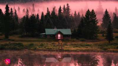 The Cabin