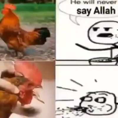 Bismillah al-rahman al-rahim🕋🕋