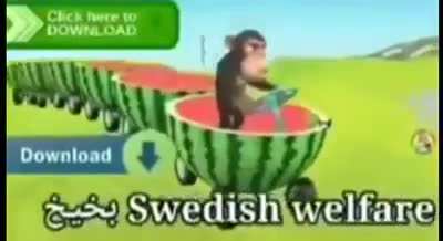 Funny Arab monkey