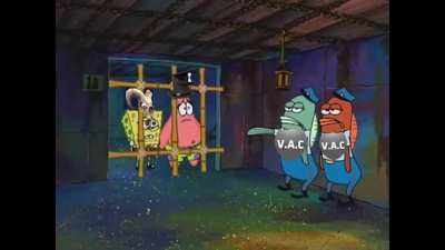 Vac banning bots be like