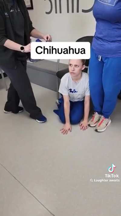 Revenge of the veterinarians
