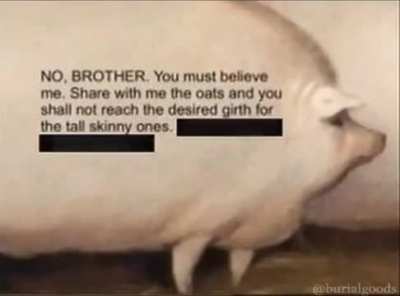 Losercity 🥓
