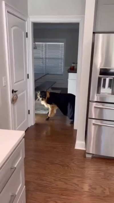 A silent guardian, a watchful protector (ps - wait for the ending)