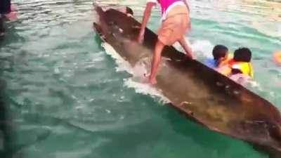 Little girl &ldquo;unsinks&rdquo; a canoe