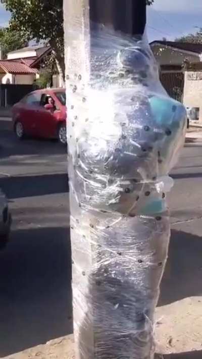 Thief stealing from cars was confronted by an elderly man and attacked him. Bystanders plastic wrap him to a street pole.